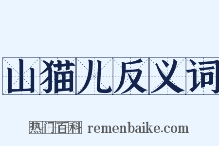 山猫儿反义词是什么意思的图片